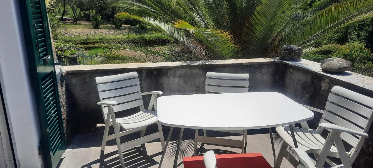 Vecchio Mulino Fontona Girasole Apartment Chiesanuova  Bagian luar foto
