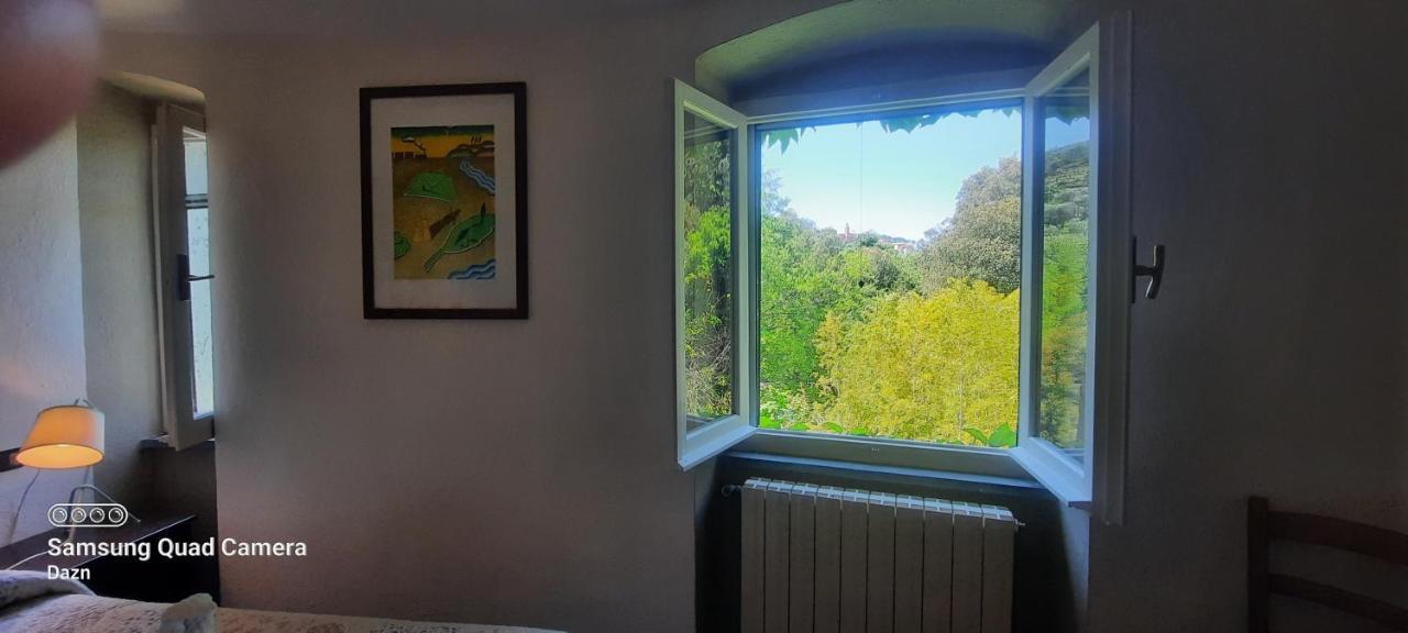 Vecchio Mulino Fontona Girasole Apartment Chiesanuova  Bagian luar foto