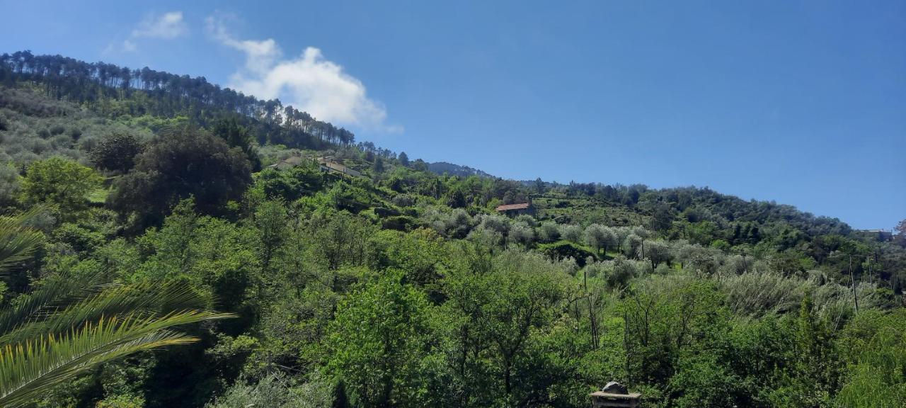 Vecchio Mulino Fontona Girasole Apartment Chiesanuova  Bagian luar foto