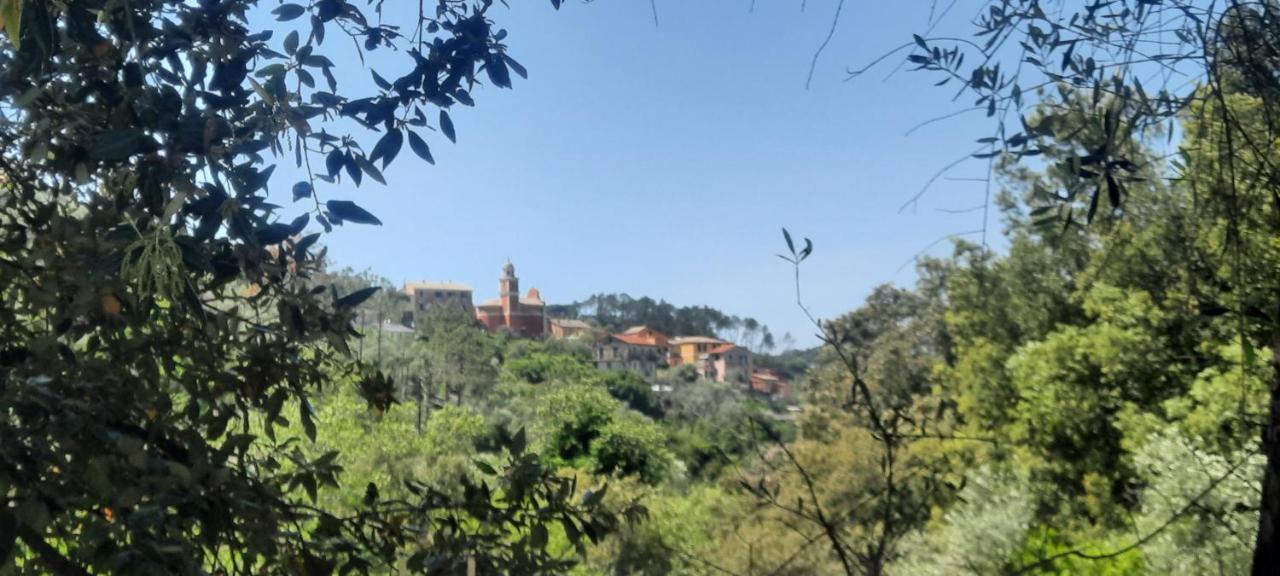 Vecchio Mulino Fontona Girasole Apartment Chiesanuova  Bagian luar foto